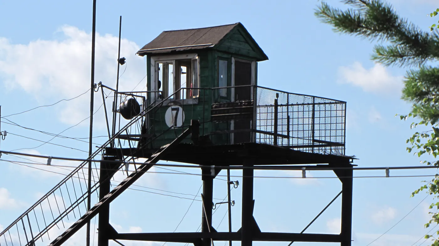 5035018-kolonia-karna-w-siegiezy-w-ktorej.jpg