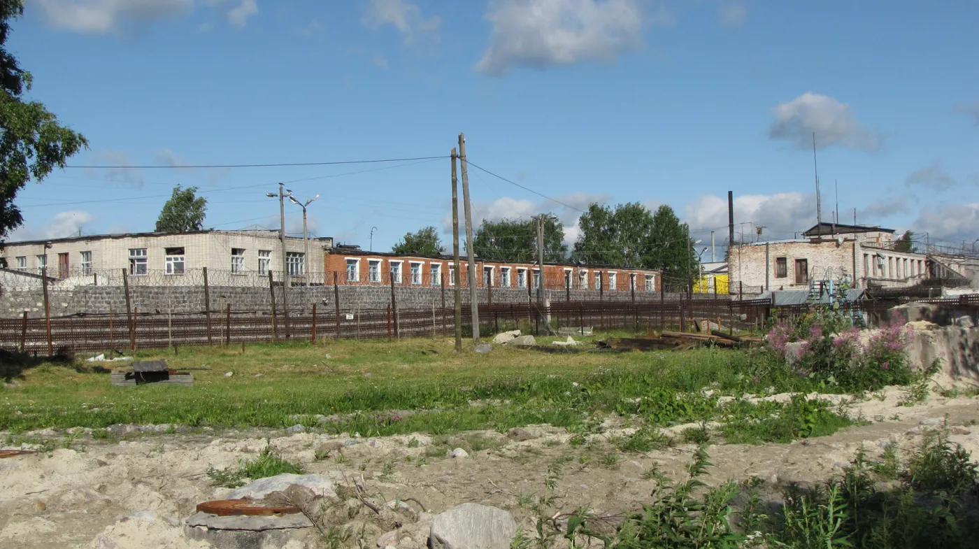 5035104-kolonia-karna-w-siegiezy-w-ktorej.jpg