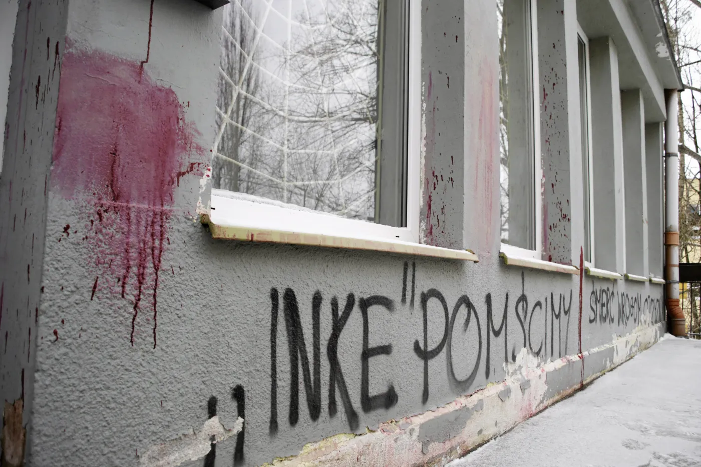 Wandale zniszczyli biuro Joanny Senyszyn. ZDJĘCIA!