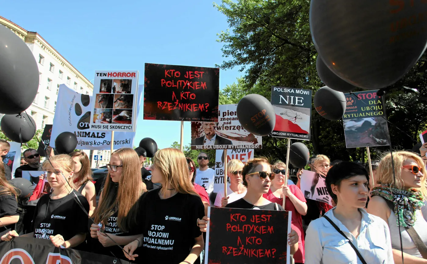 Rytualny ubój prawdy. Burza w szklance wody?