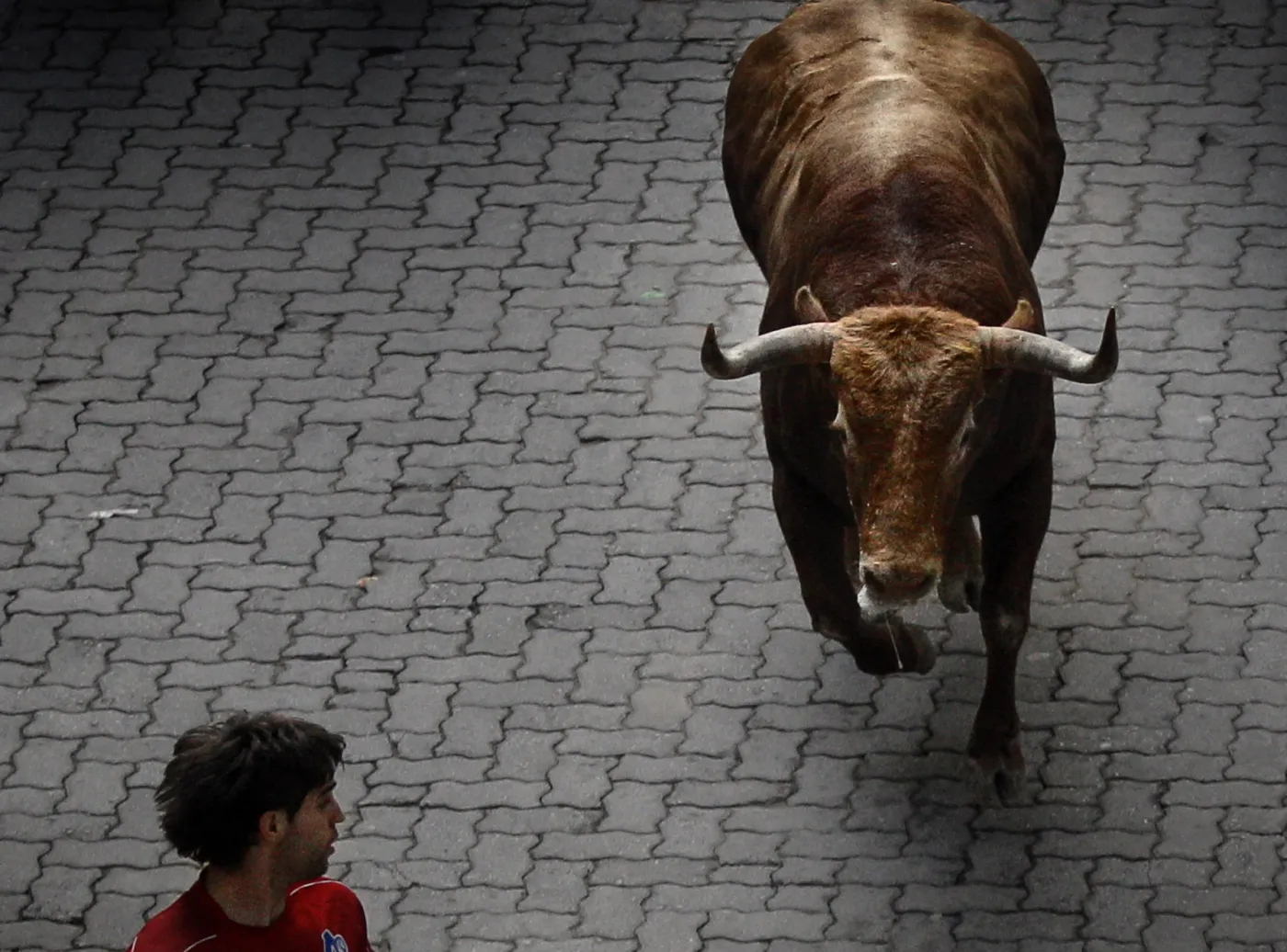 Ucieczka przed bykami w Pampelunie