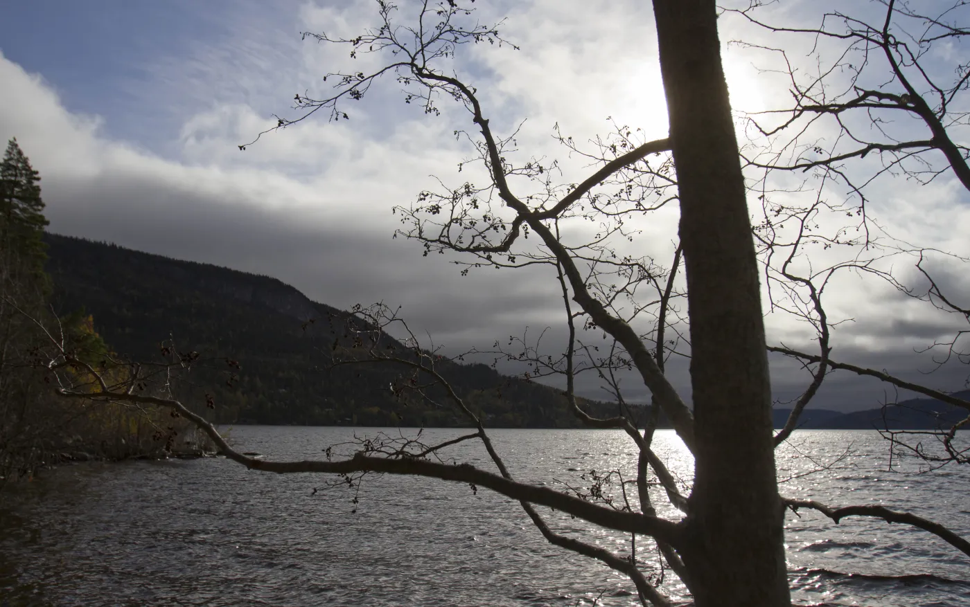 5200392-utoya-norweska-wyspa-na-ktorej.jpg