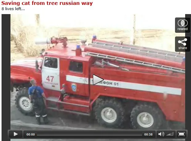 Ściąganie kota z drzewa sposobem rosyjskich strażaków [WIDEO]