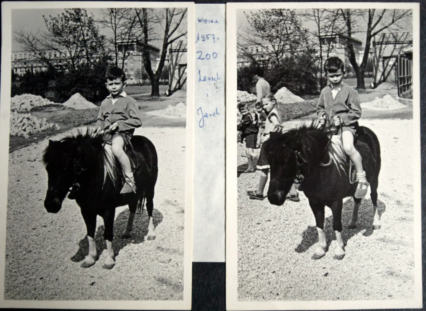 5840541-jadwiga-kaczynska-lech-jaroslaw.jpg