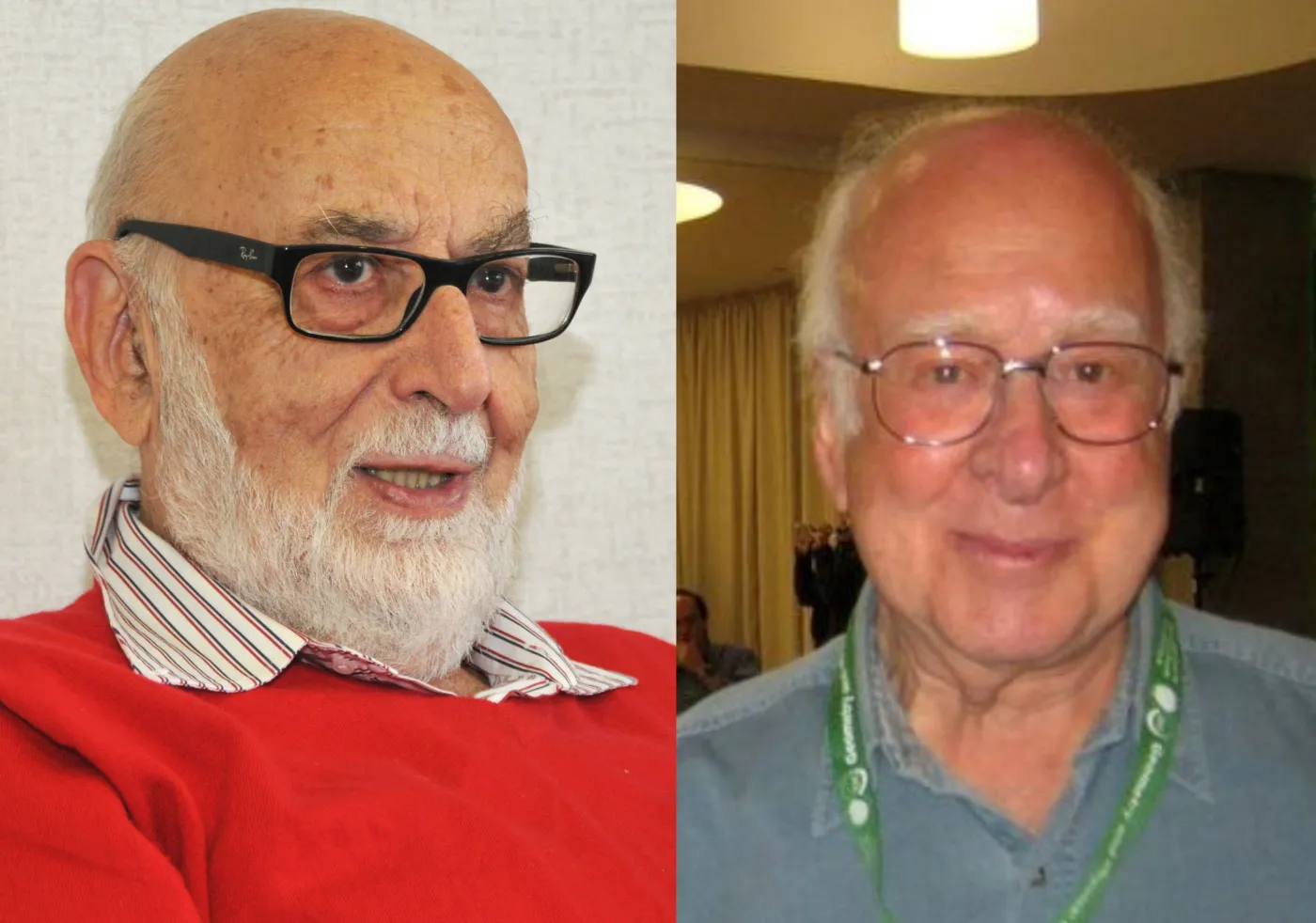 François Englert i Peter W. Higgs