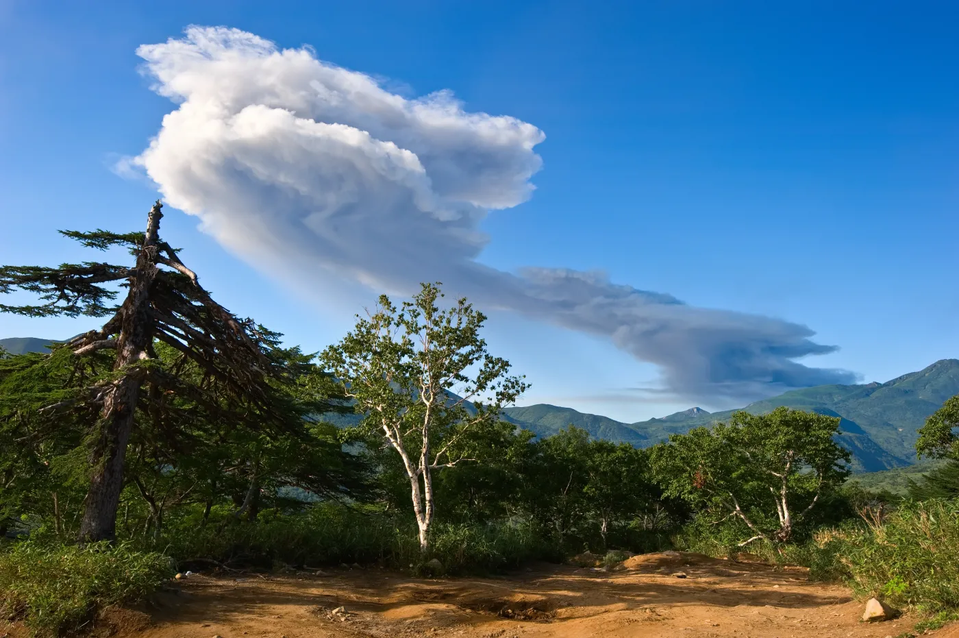 Rosja zaatakowana własną bronią. Japonia sugeruje referendum na Kurylach