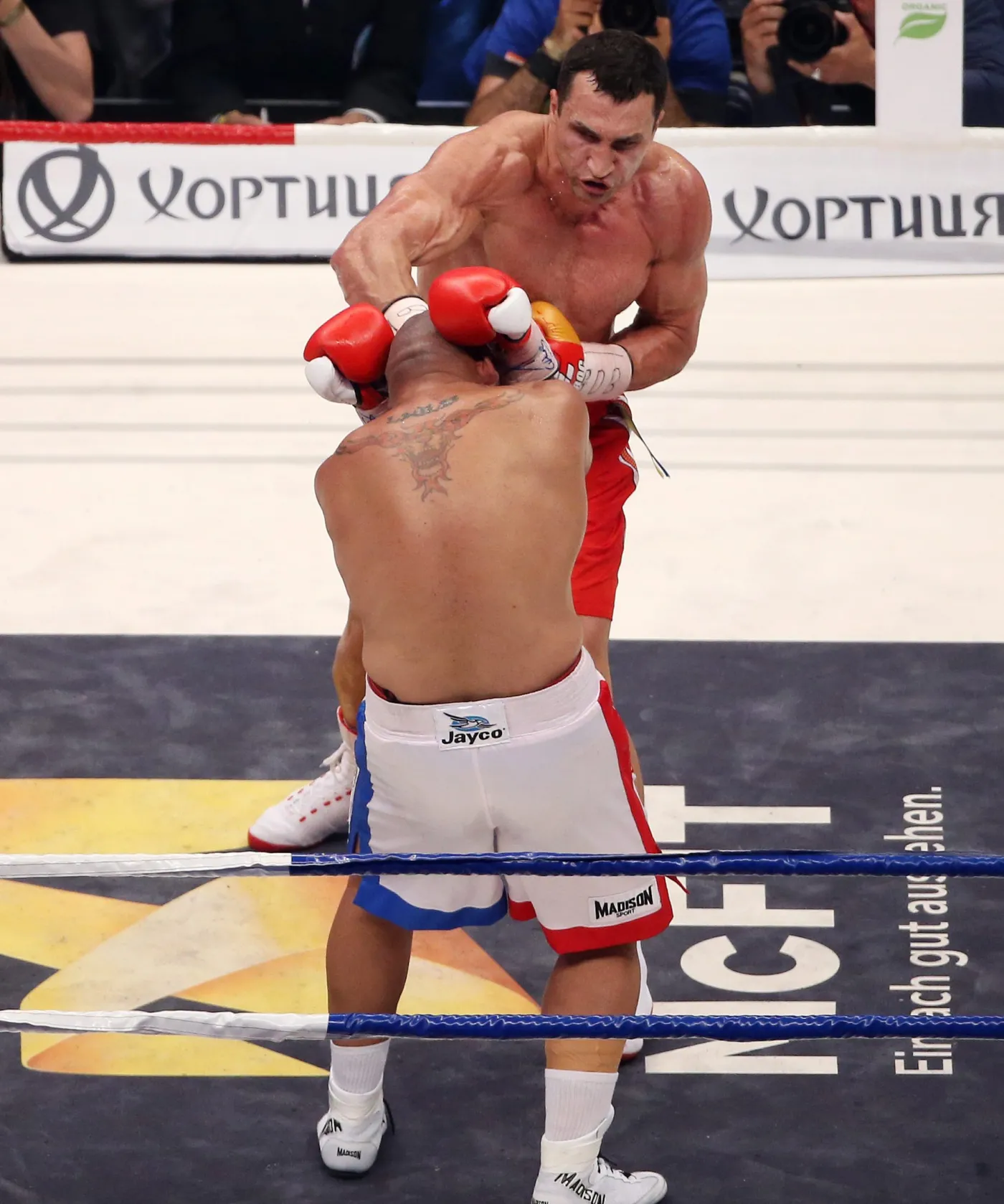 6209783-wladimir-kliczko-poslal-rywala.jpg