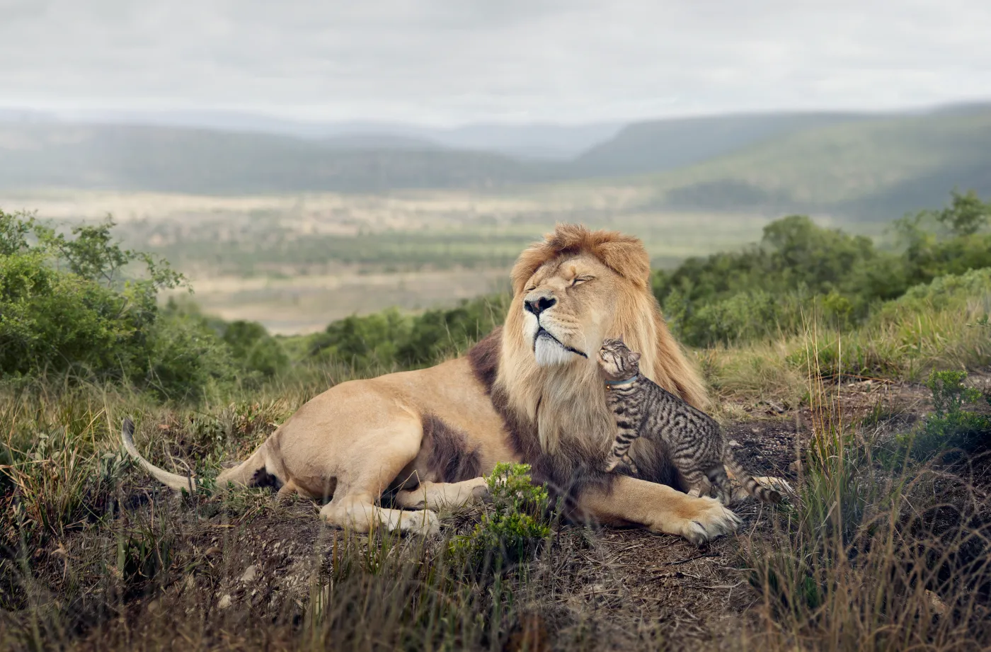 George Logan, UK, 2014 Sony World Photography Awards
