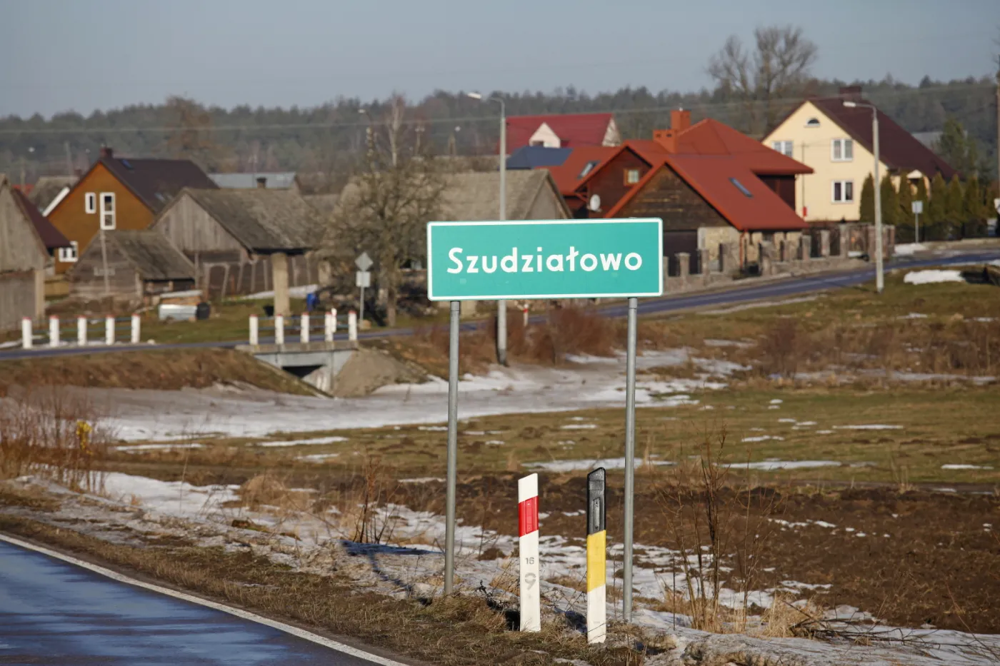 Wirus afrykańskiego pomoru świń (ASF) został znaleziony w próbce pobrane 13 lutego br. od padłego dzika, który został znaleziony w gminie Szudziałowo