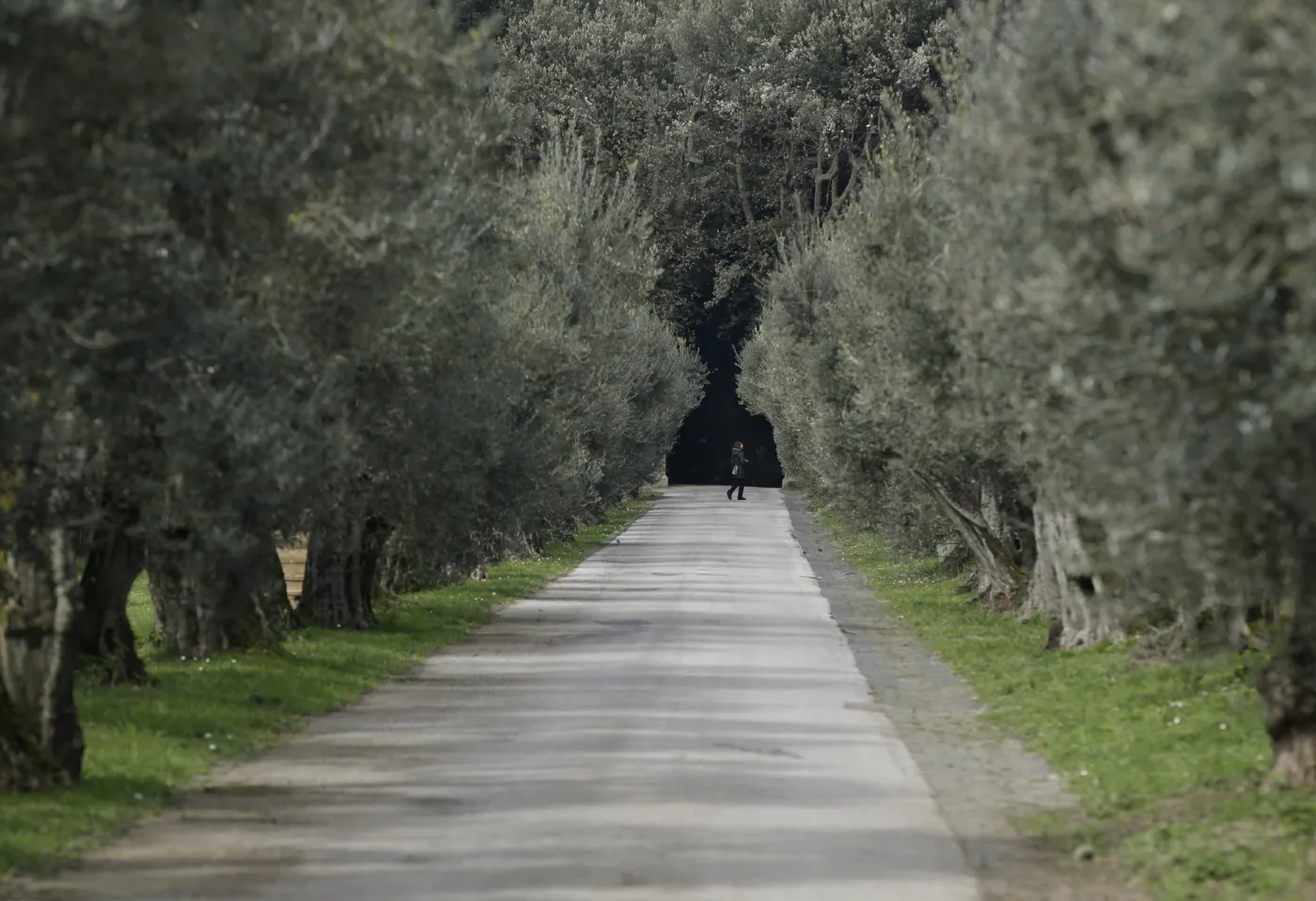 6068674-castel-gandolfo-papiez-watykan.jpg