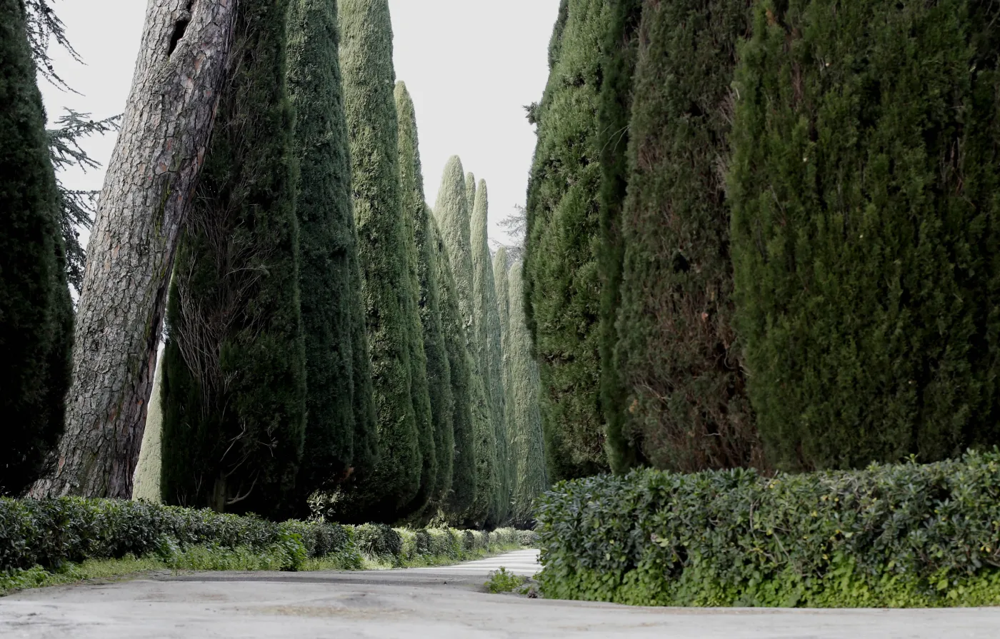 6068732-castel-gandolfo-papiez-watykan.jpg