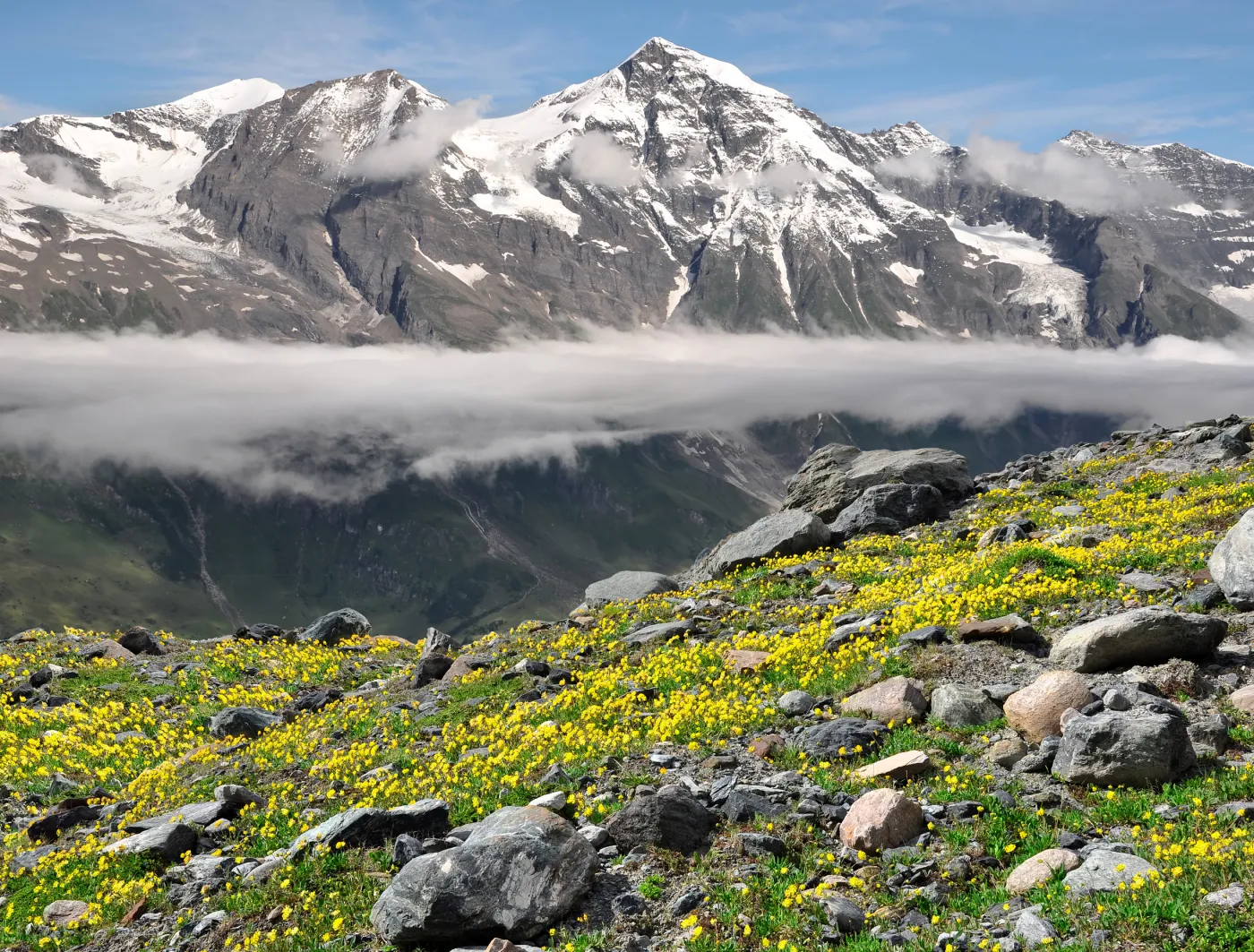 6647674-wiesbachhorn-w-parku-narodowym.jpg