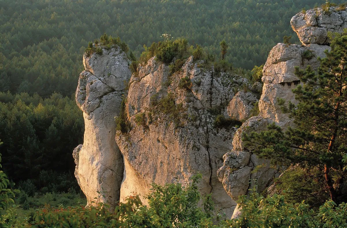 6701155-polska-krajobraz-najpiekniejsze.jpg