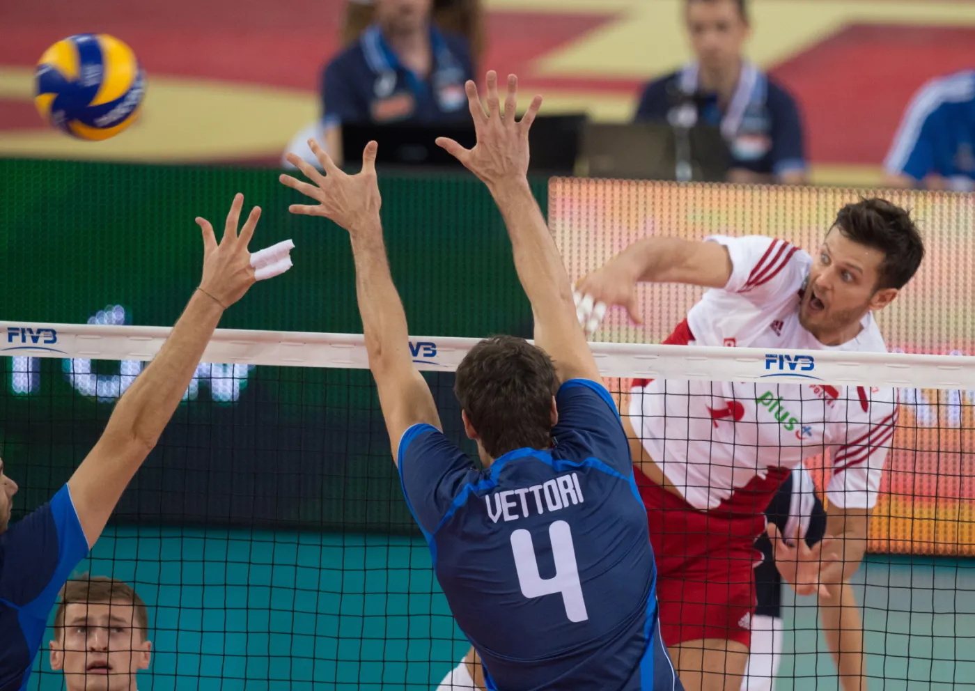 6791943-polak-michal-winiarski-oraz-wloch.jpg