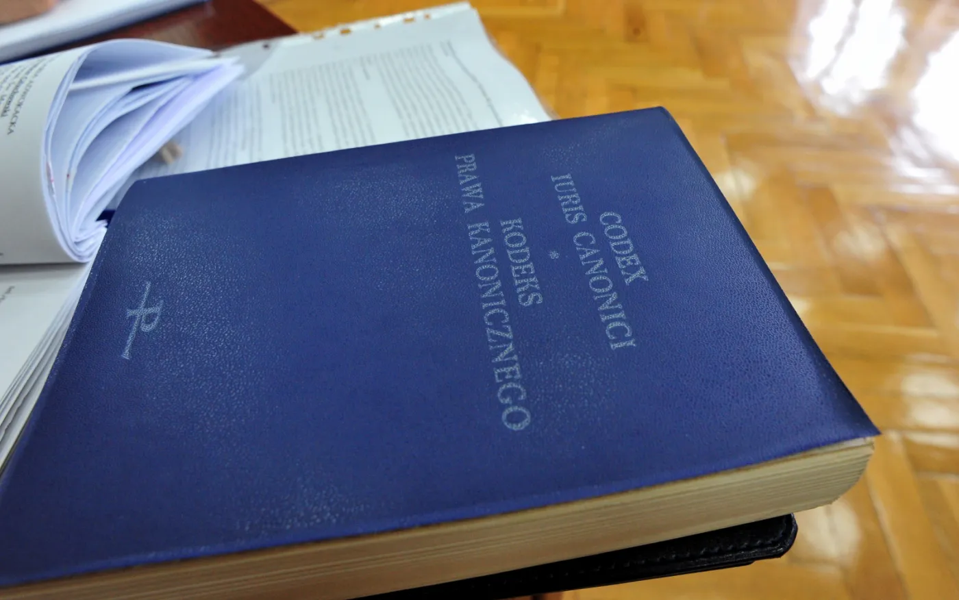 6797124-proces-kosciol-pedofilia-kardynal.jpg