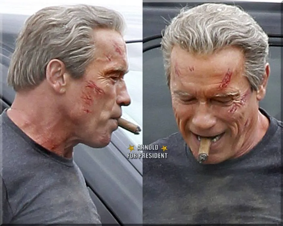 6400517-arnold-schwarzenegger-na-planie.jpg