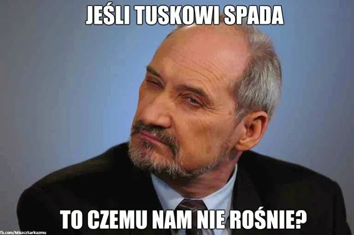Czemu PiSowi nie rośnie, a Sikorski wszystko robi źle? [MEMY]