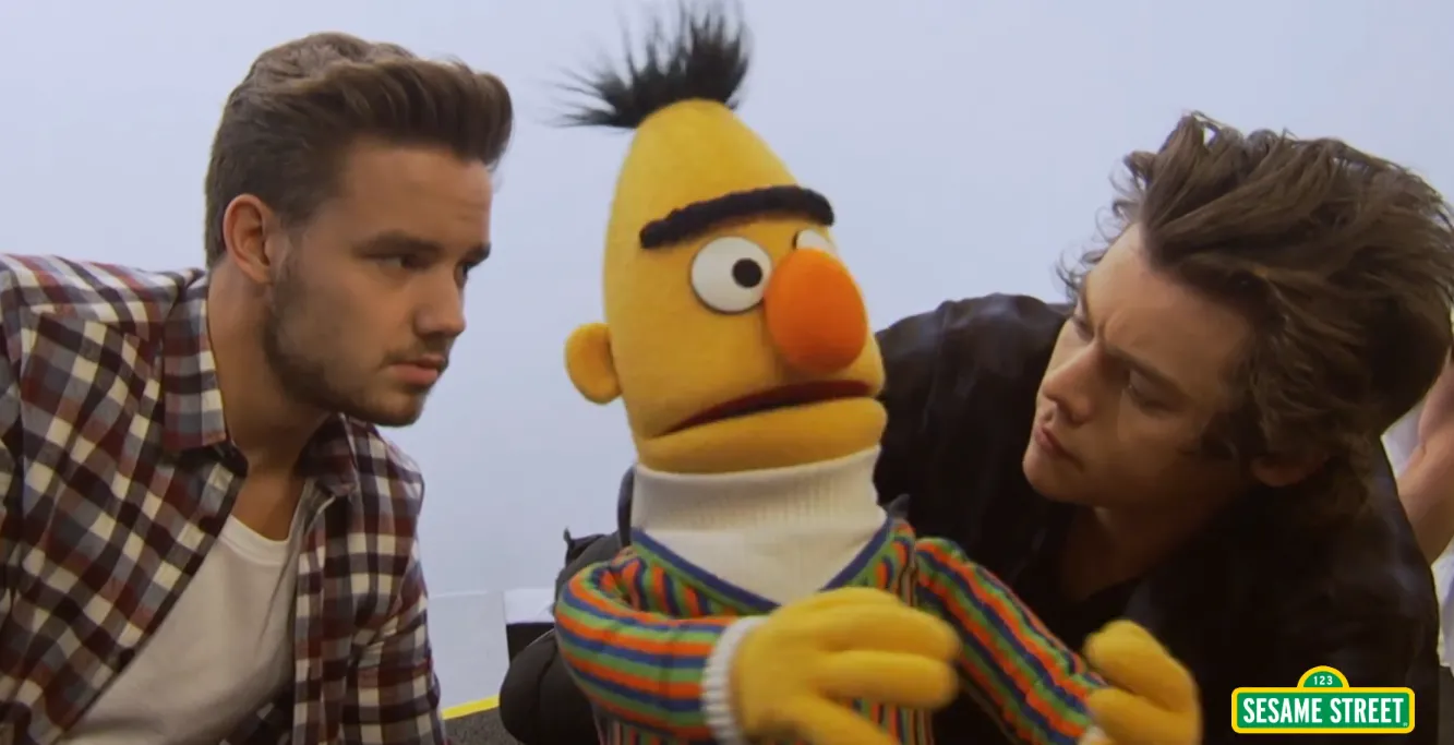 One Direction na ulicy Sezamkowiej