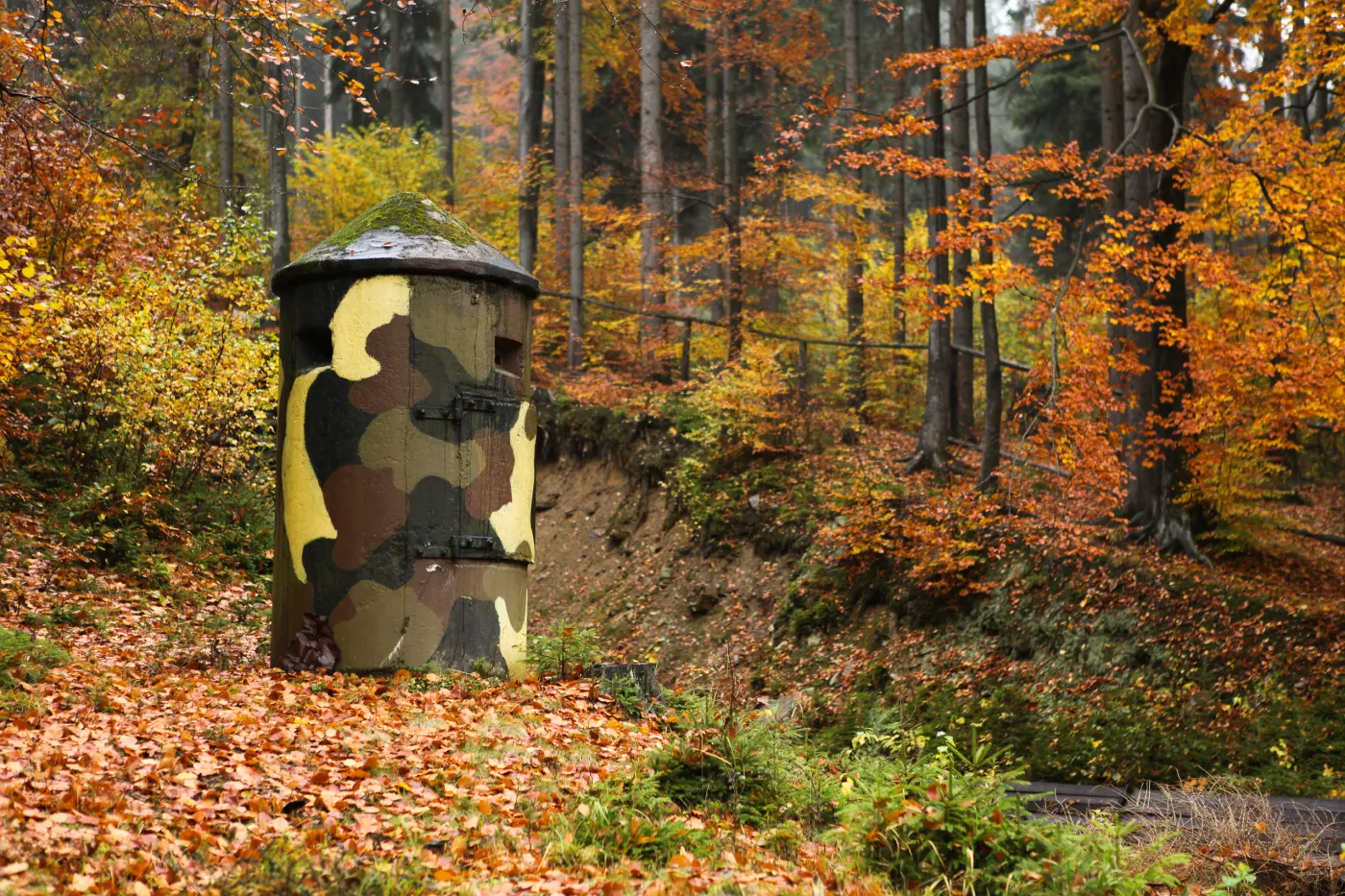 7119116-kompleks-riese-w-gorach-sowich.jpg
