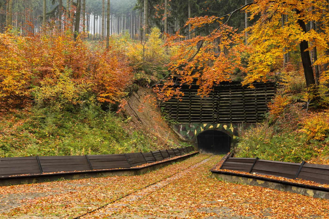 7119380-kompleks-riese-w-gorach-sowich.jpg