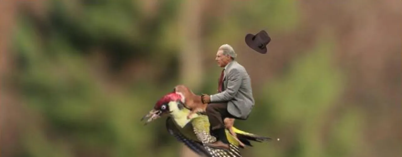 Han Solo wylądował! Wypadek Harrisona Forda w memach