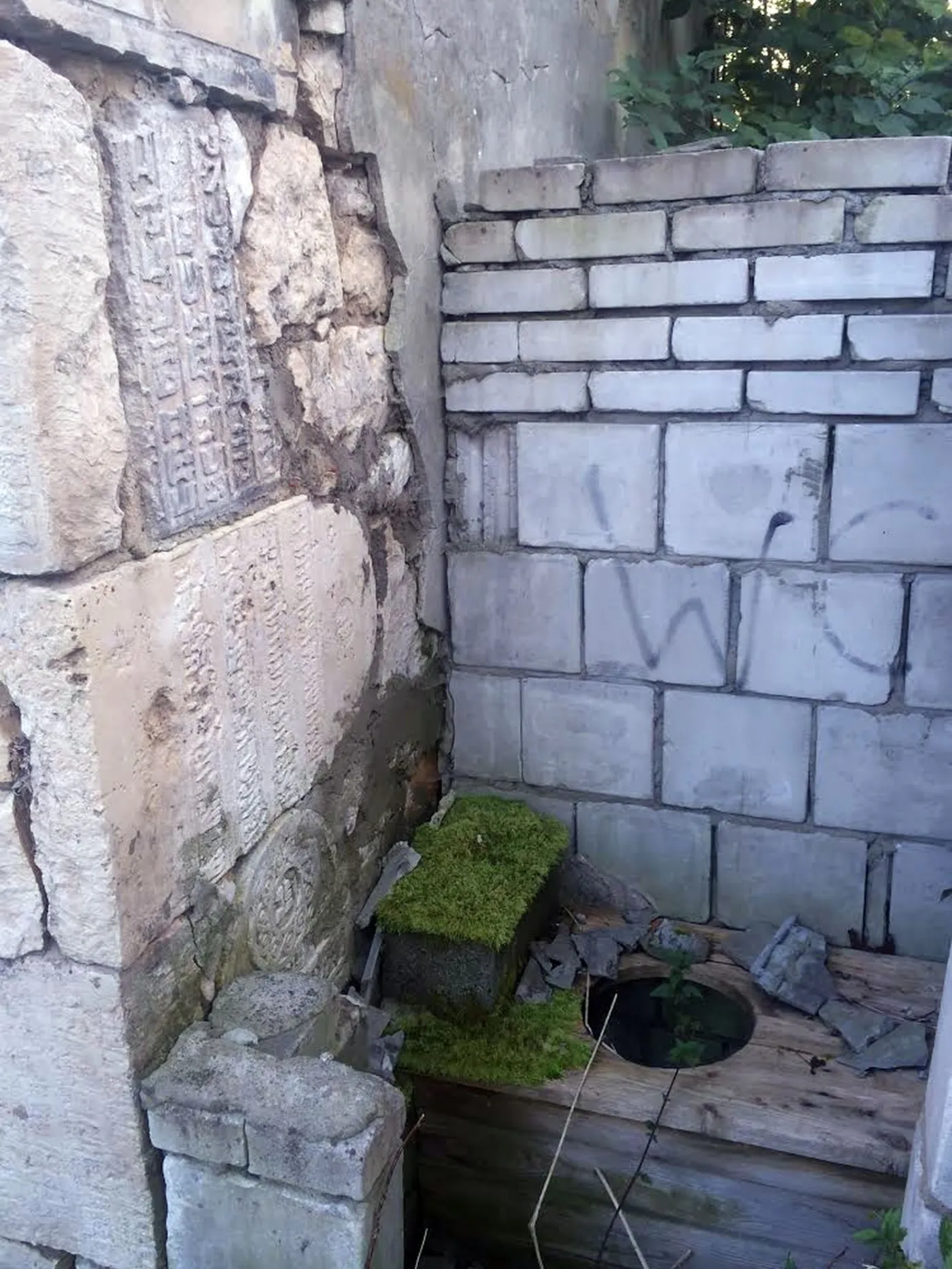7562099-fundacja-from-the-depths-prowadzi.jpg