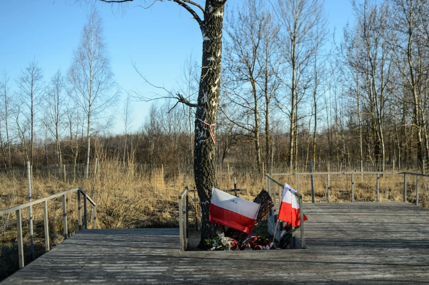 7639378-miejsce-katastrofy-smolenskiej.jpg