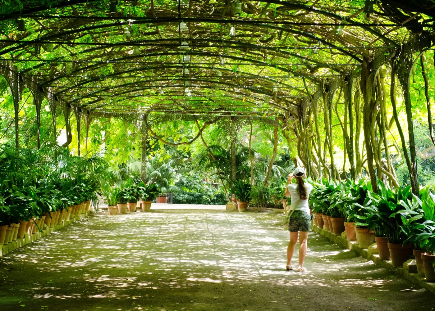 7644261-ogrod-botaniczny-la-concepcion.jpg