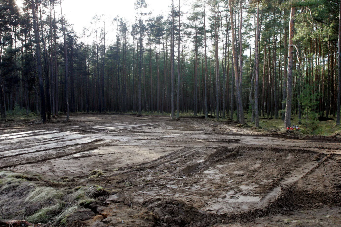 Miejsce katastrofy lotniczej pod Mirosławcem