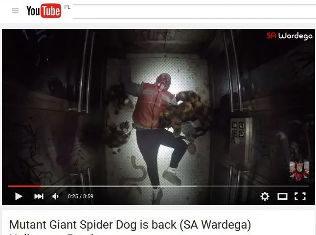 Wardęga znów straszy gigantycznym pająkiem. I to nie jednym [WIDEO]