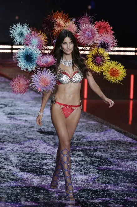 8406652-victoria-s-secret-fashion-show.jpg