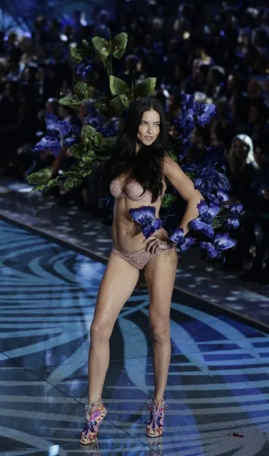 8406802-victoria-s-secret-fashion-show.jpg