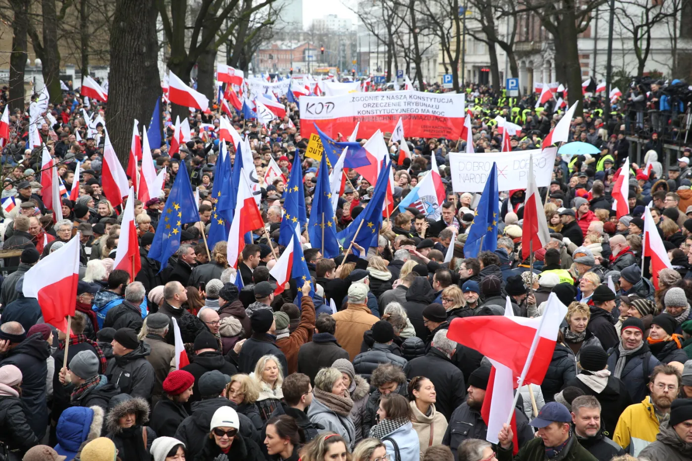 8534403-marsz-organizowany-przez-komitet.jpg