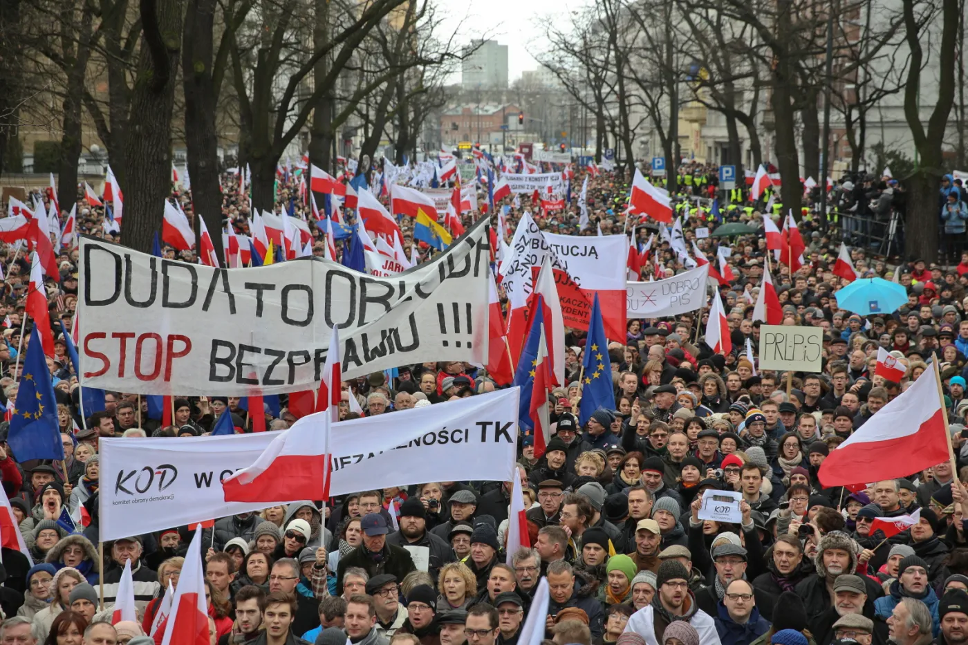 8534467-marsz-organizowany-przez-komitet.jpg