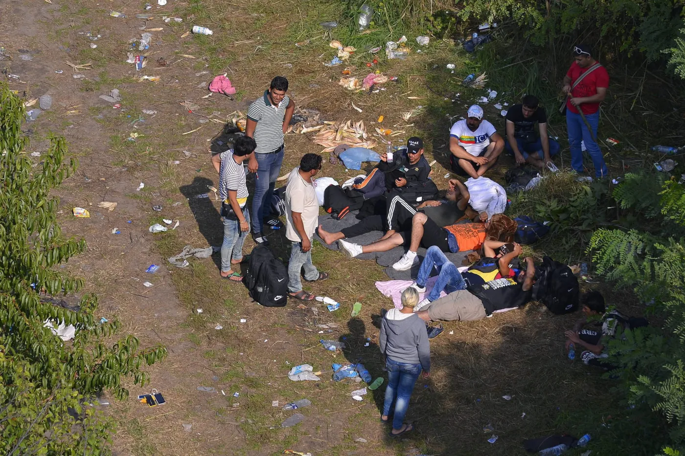 Imigranci na granicy Serbii z Węgrami