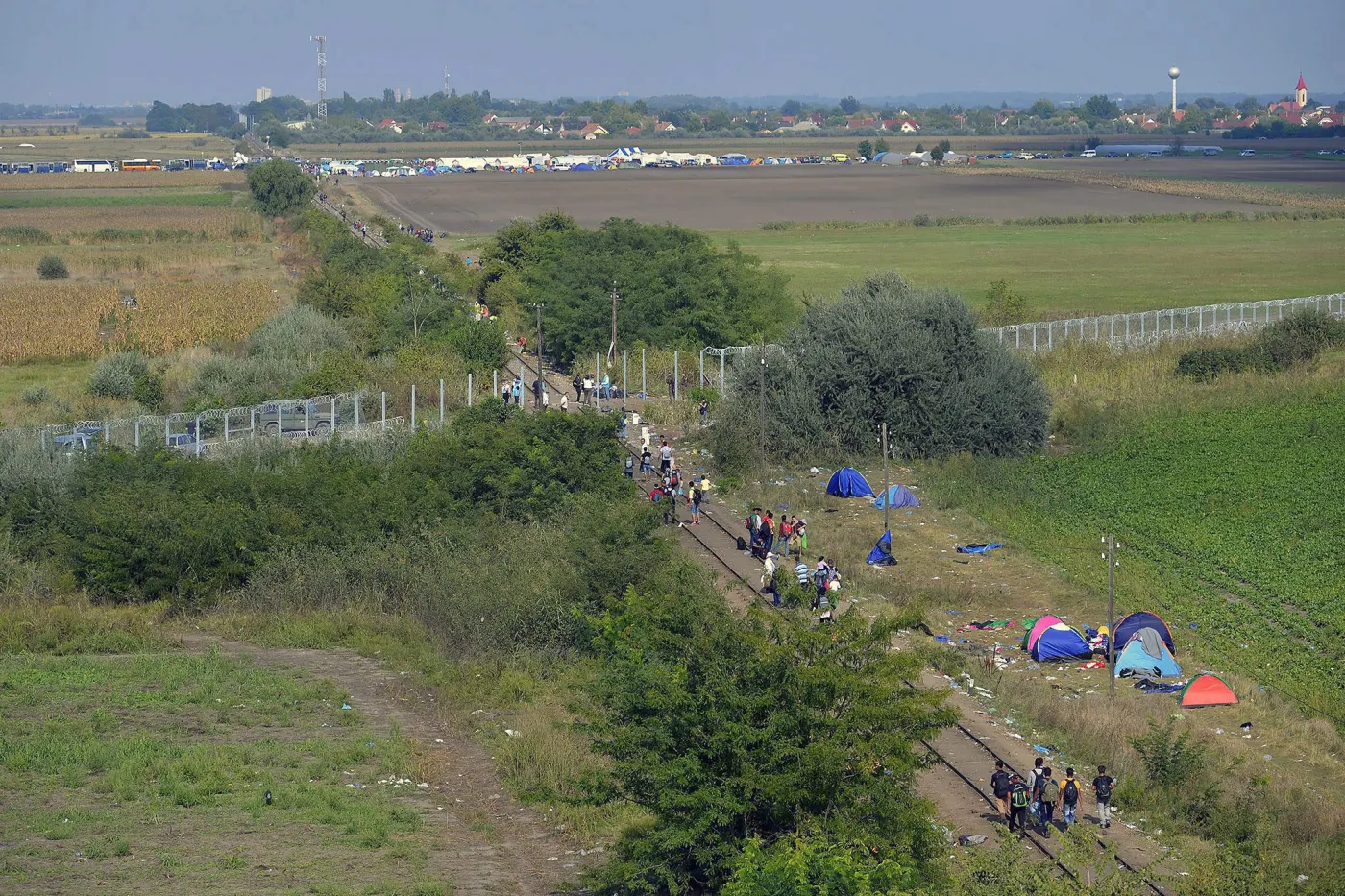 Imigranci na serbsko - węgierskiej granicy