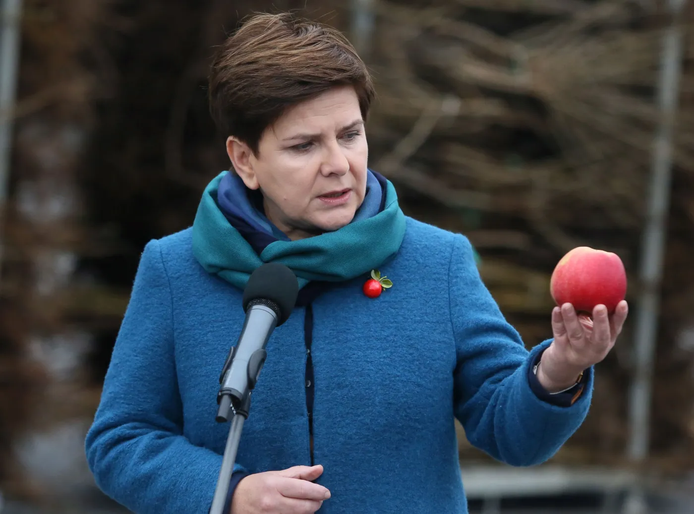 Beata Szydło podczas konferencji w gospodarstwie szkółkarskim Andrzeja Nowakowskiego w Żdżarach
