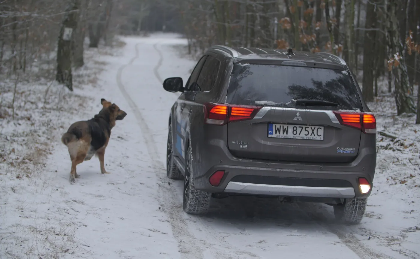 8672675-mitsubishi-outlander-phev-2016.jpg