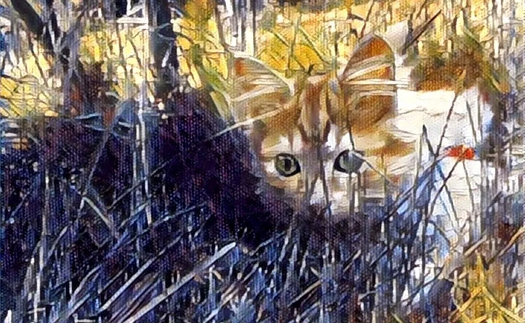 Zdjęcie zmienione filtrami Prismy