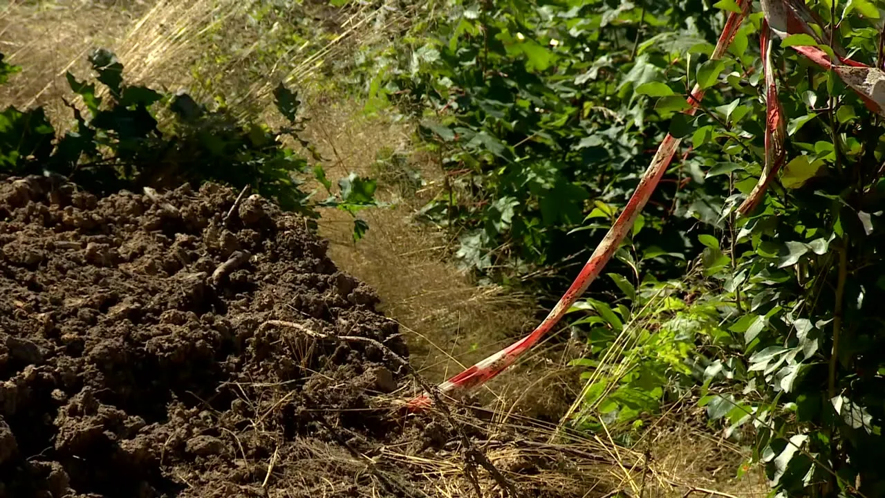 Odkrywcy "złotego pociągu" zapowiadają dalsze poszukiwania. Wznowią prace jesienią