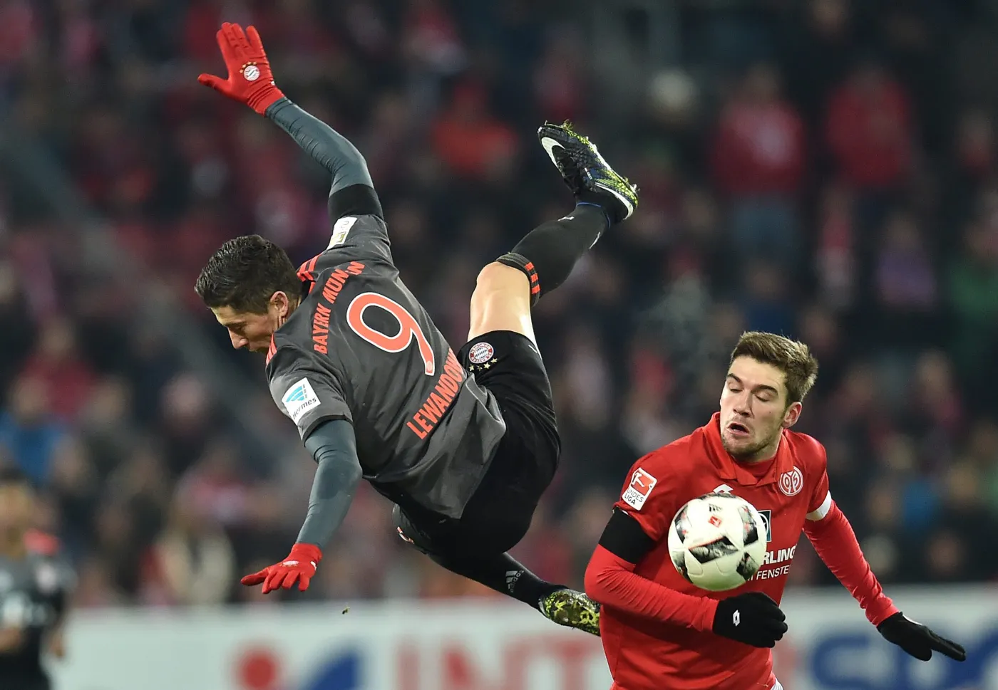 Stefan Bell i Robert Lewandowski