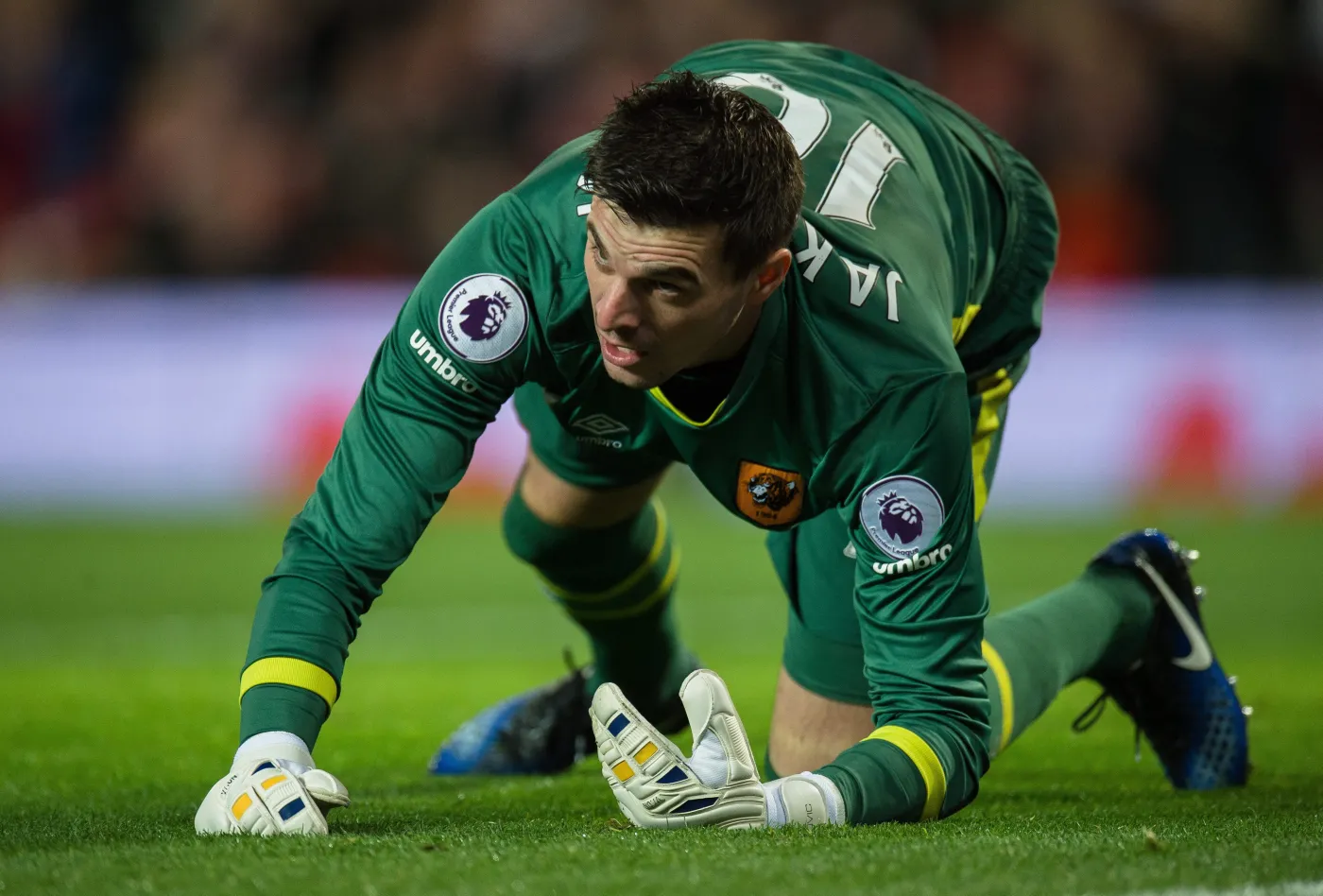 Bramkarz Hull City, Eldin Jakupovic