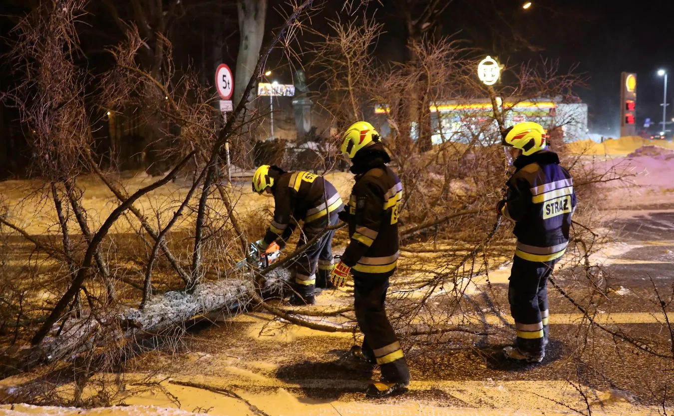 Strażacy usuwają powalone drzewo w Zakopanem