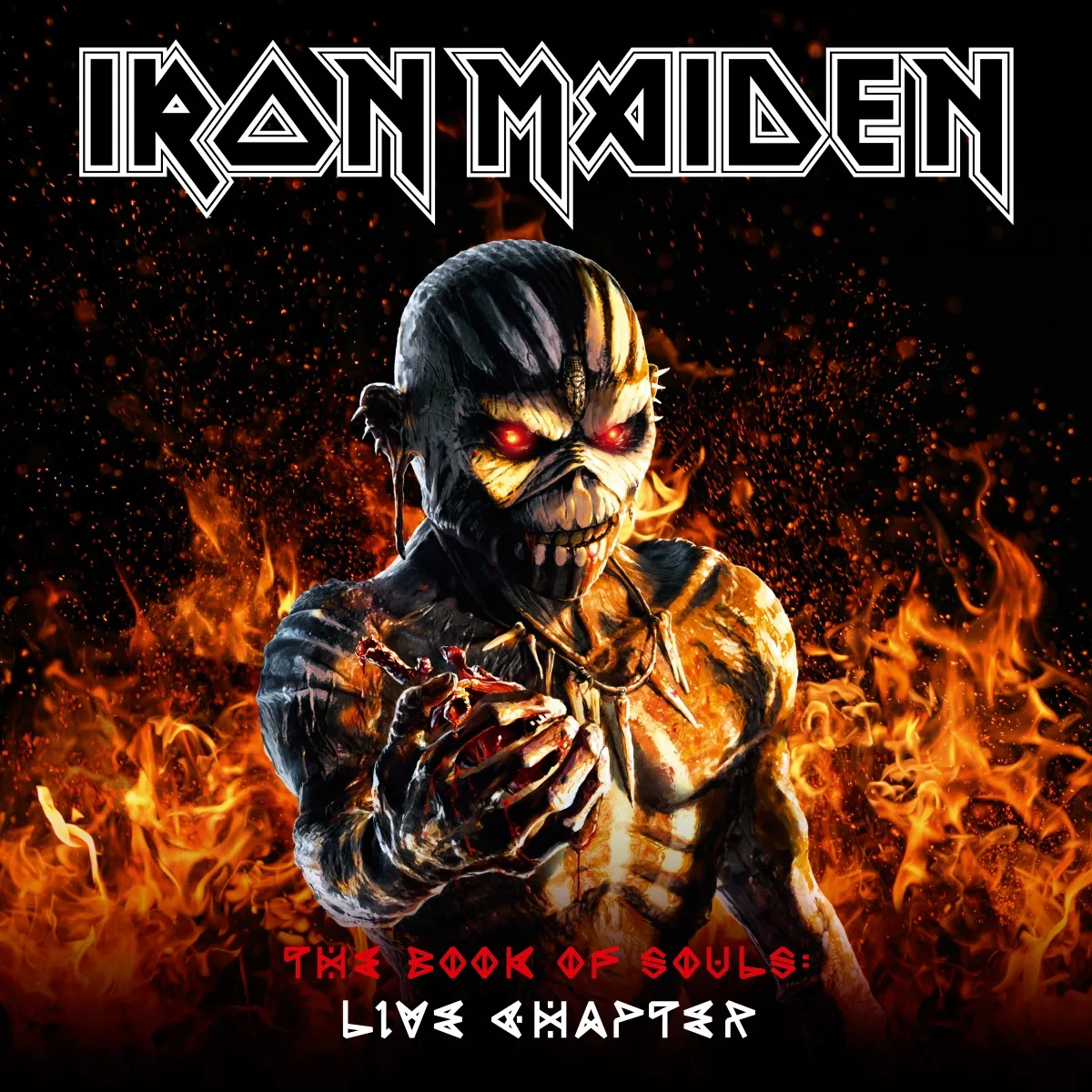 10608015-iron-maiden-the-book-of-souls.jpg