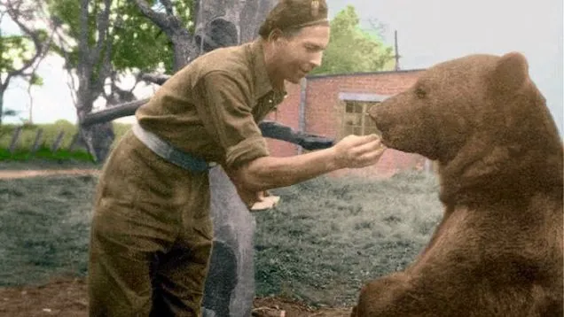 Militarny plac zabaw imienia Misia Wojtka ma powstać na szczecińskim osiedlu