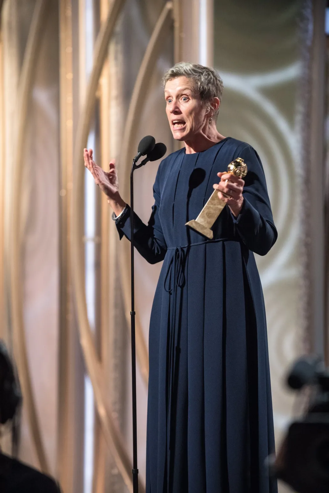 Frances McDormand z nagrod