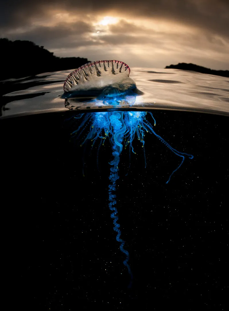10566710-bpii-ep04-big-blue-03-embargoed.jpg