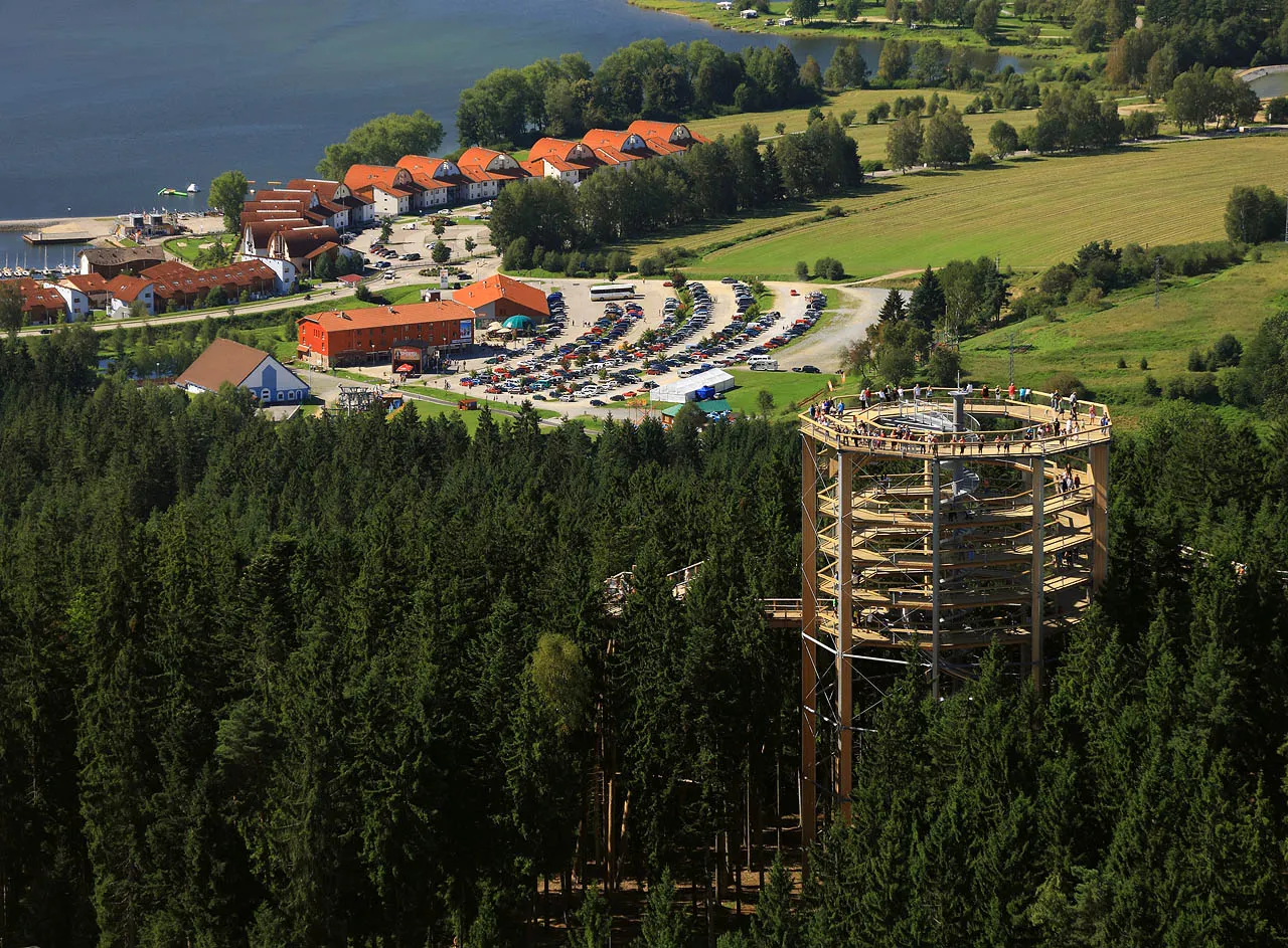 11023289-lipno-trasa-w-koronach-drzew-fot.jpg