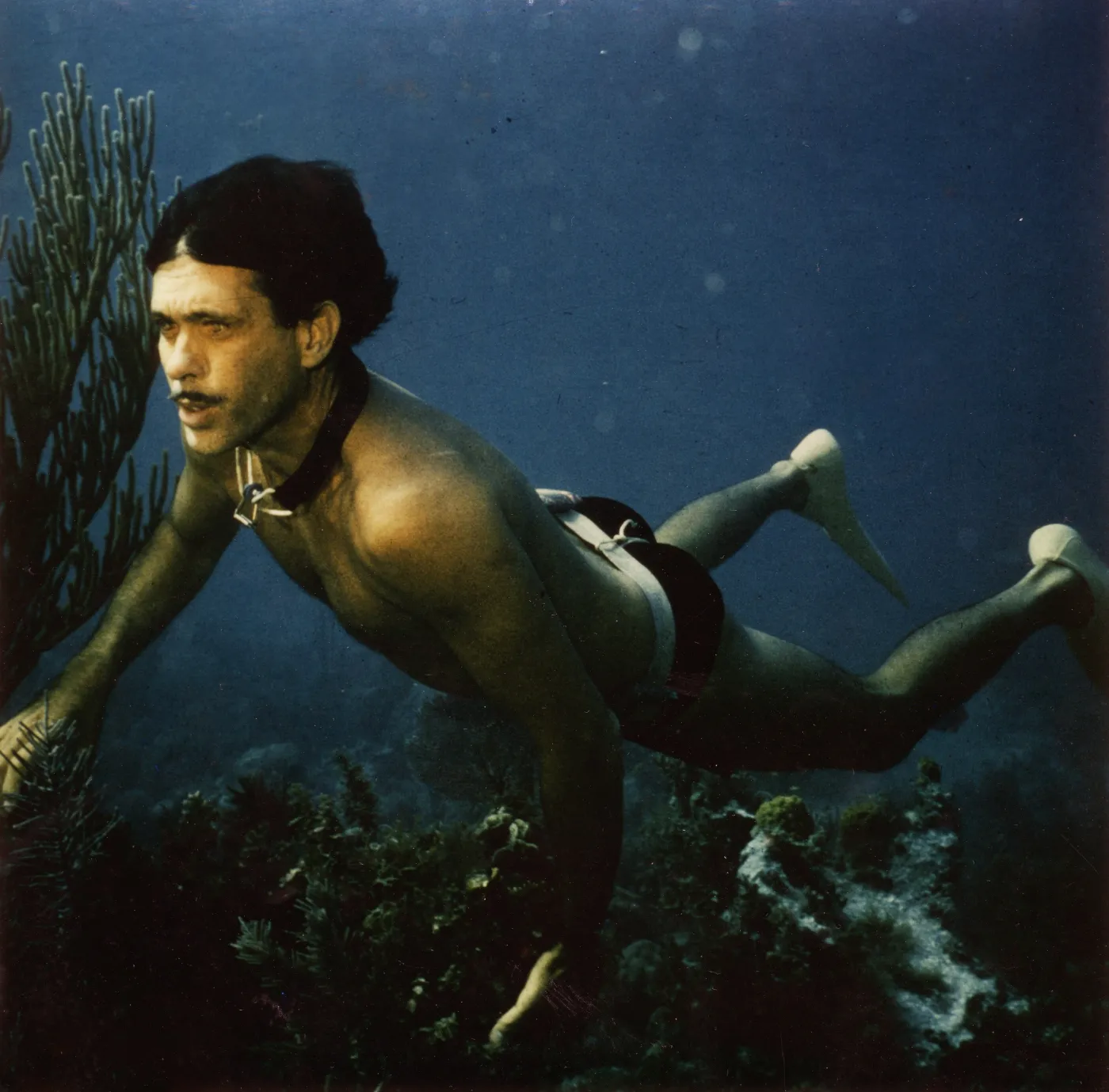 Kadr z filmu "Człowiek delfin"