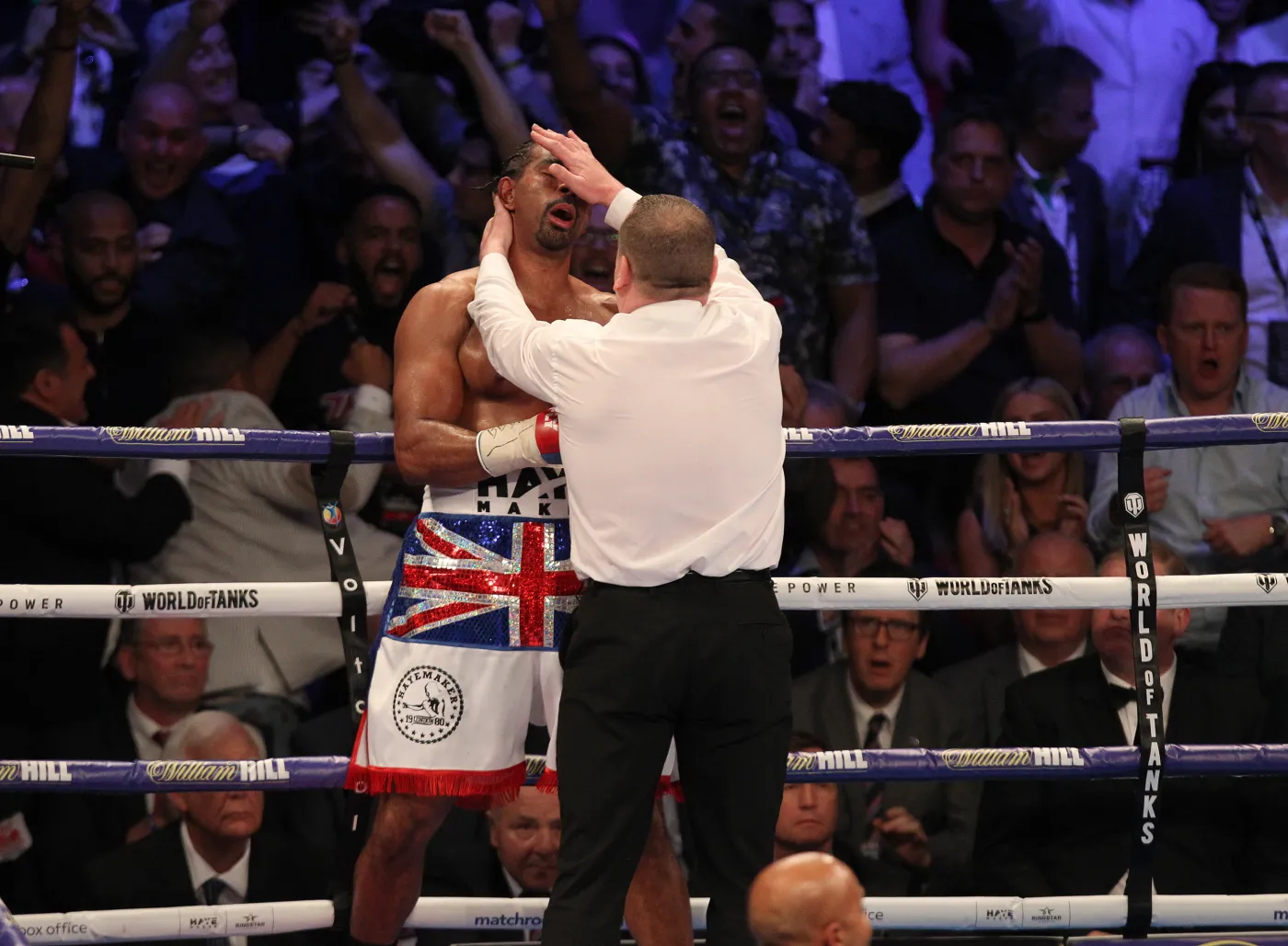 10944325-david-haye-trzy-razy-lezal-na.jpg